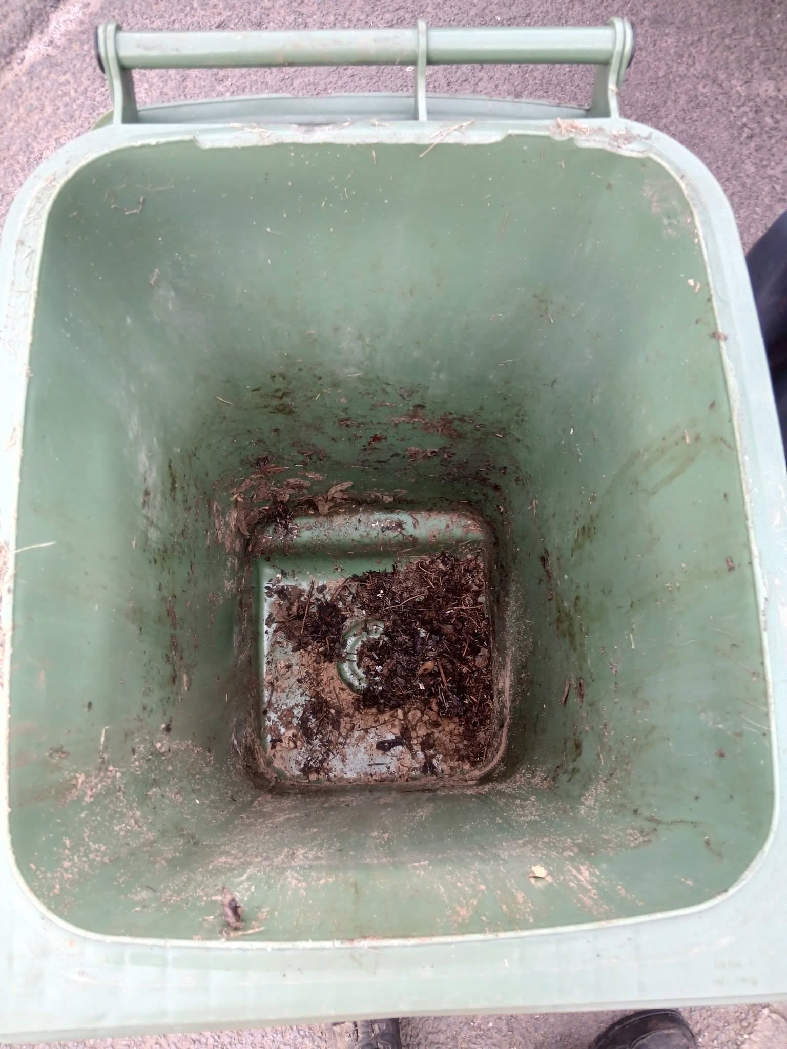 Green garden waste bin interior with soil and debris before cleaning